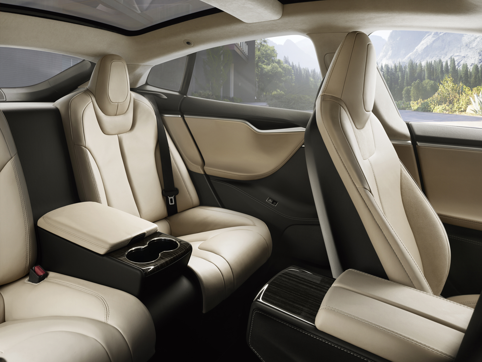 Tesla-executive-rear-seats