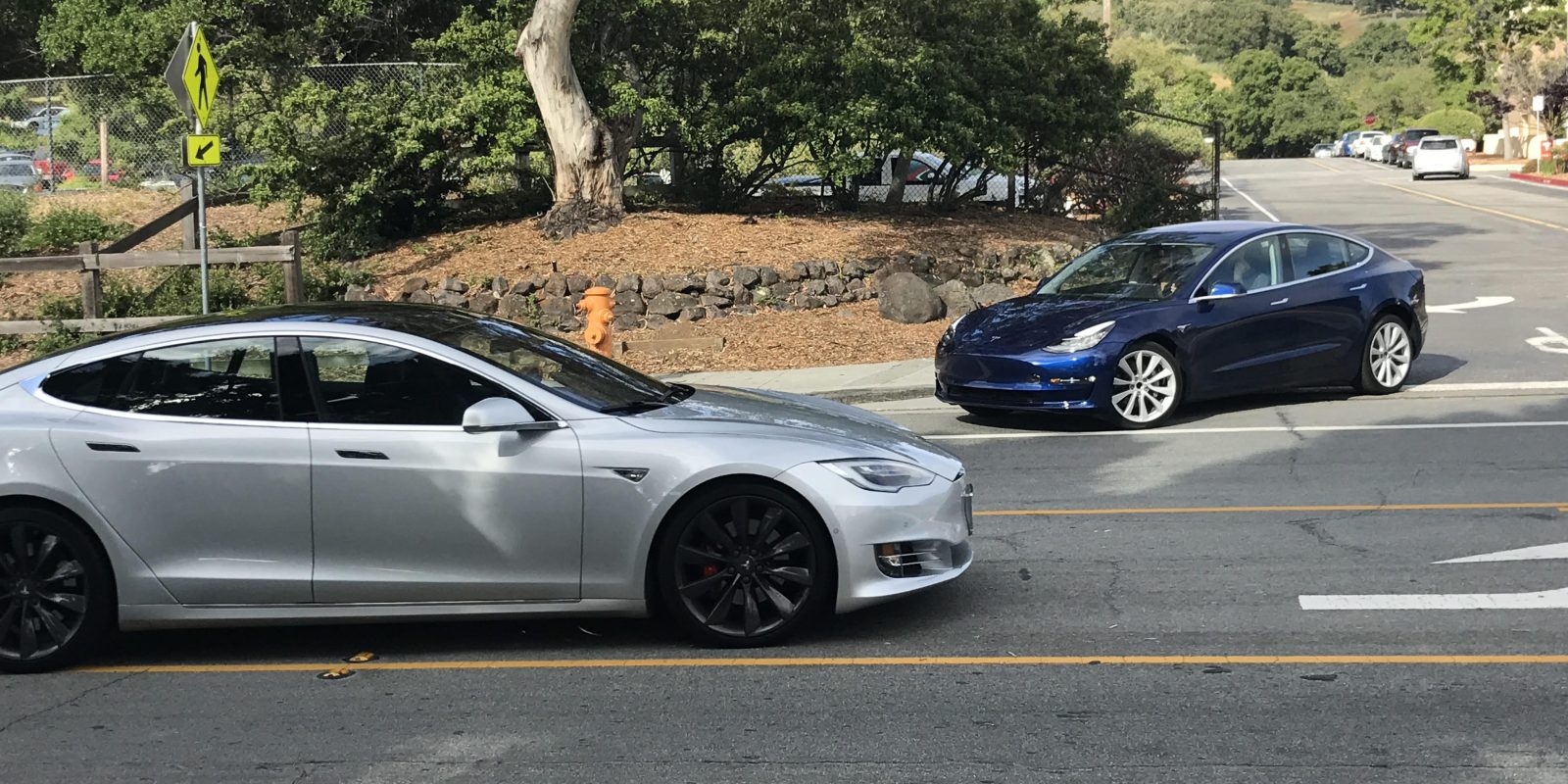 Teslas on road