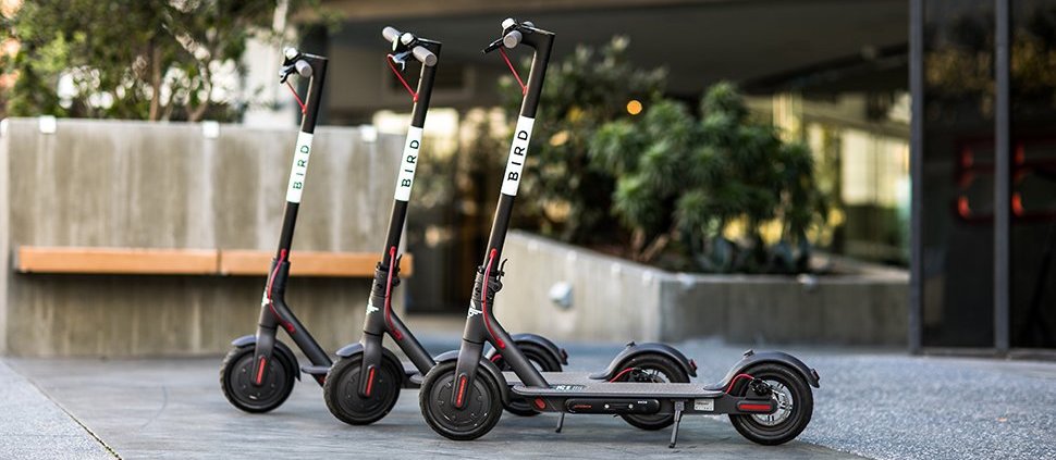 Bird electric scooter