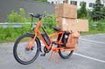 radwagon electric cargo bike