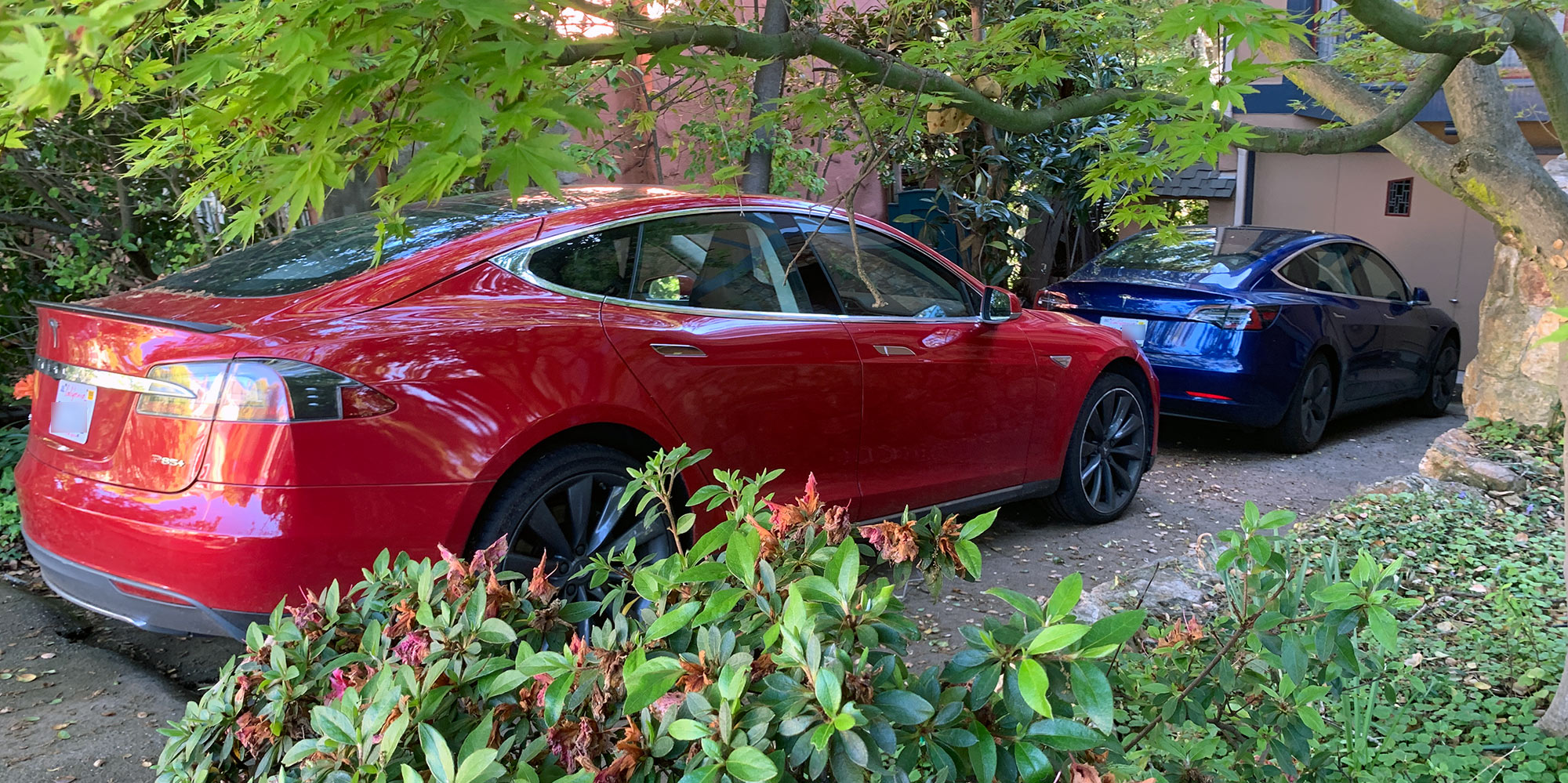Tesla Model S and Tesla Model 3