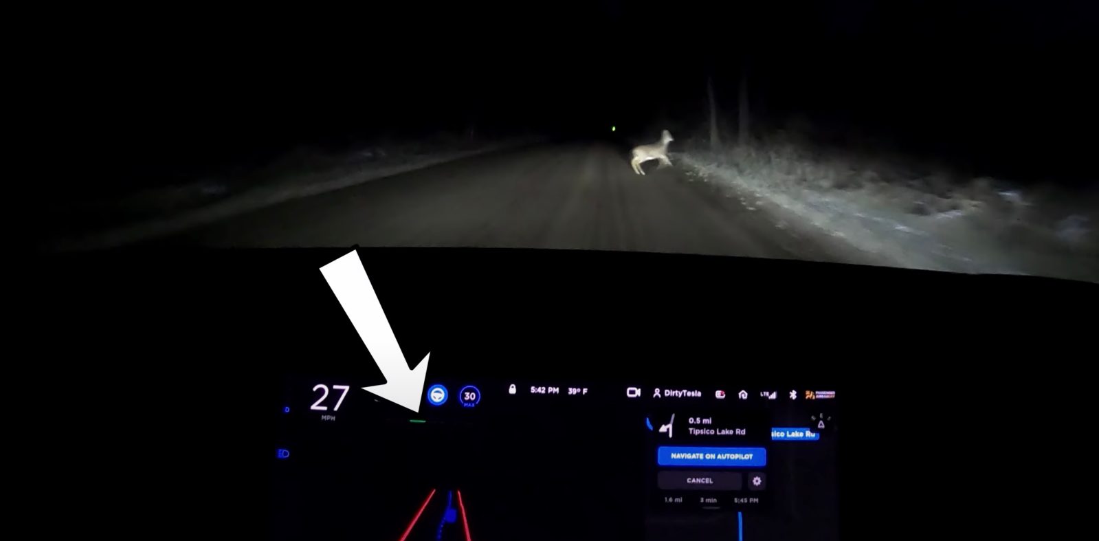 Tesla Full Self-driving avoid deer