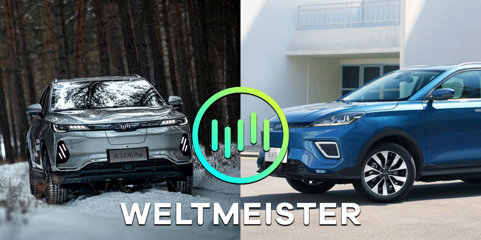electric vehicle companies Weltmeister