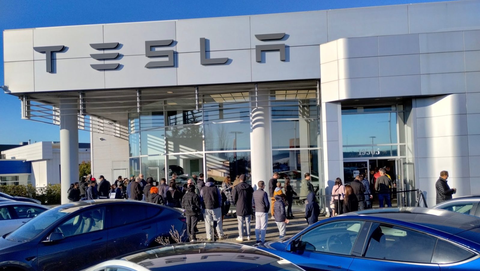 Tesla Cybertruck showroom crowds