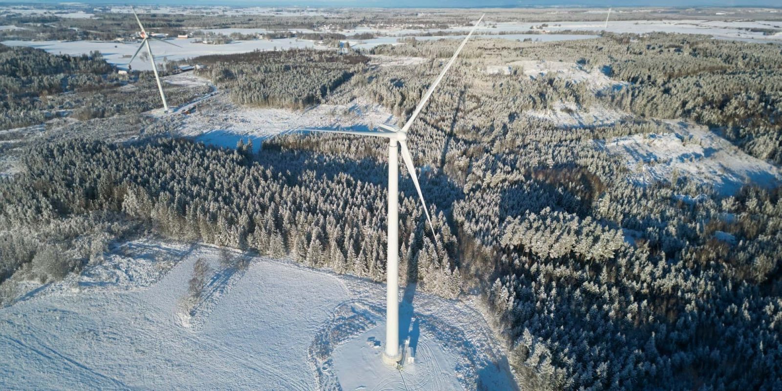 world's tallest wooden wind turbine