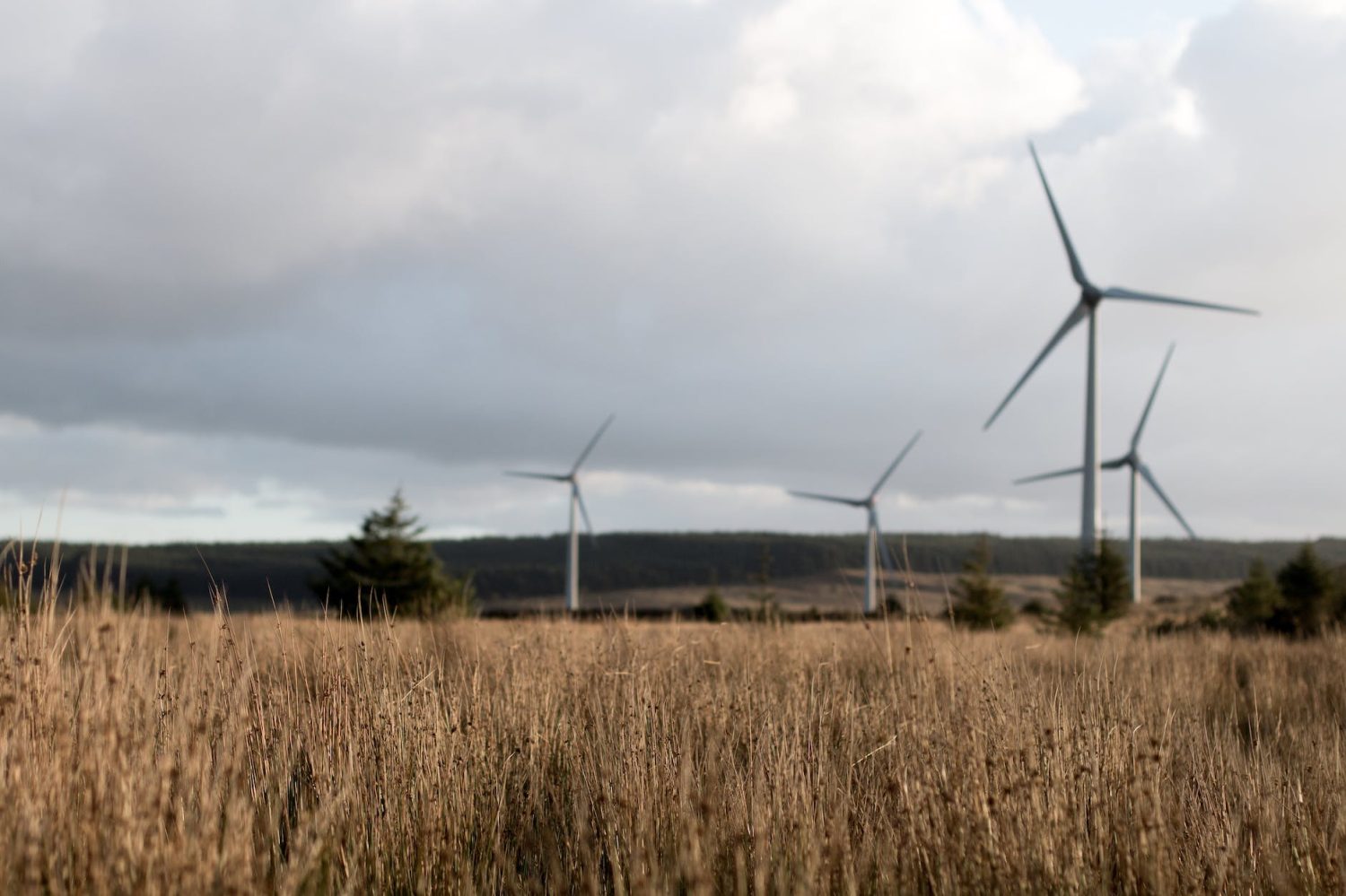 UK wind energy record
